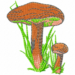 Mushroom Embroidery Design 6
